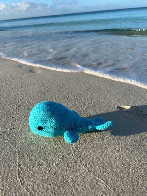 Amigurumi crochet whale on beach.